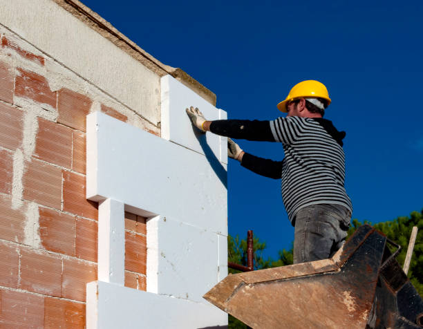 Best Geographic-Specific Insulation Services in Paddock Lake, WI