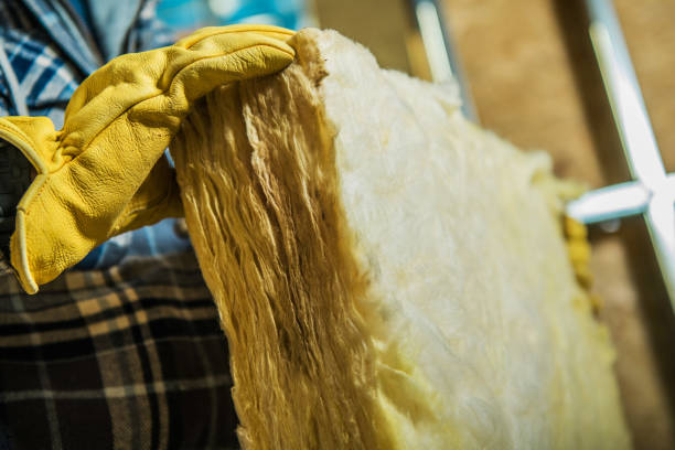Best Energy Efficiency Insulation in Paddock Lake, WI